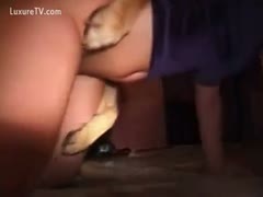 Dog sex on the floor by amateurs